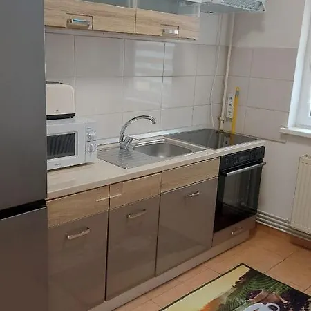 Garsoniera Bia Apartment *