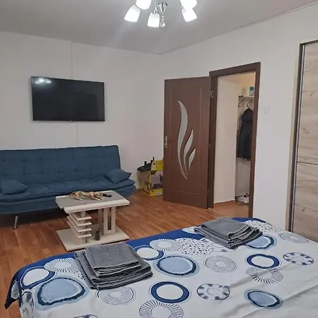 Garsoniera Bia Apartment *